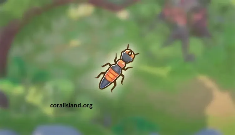 coral island rove beetle