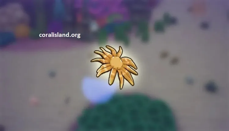 sunflower sea star coral island